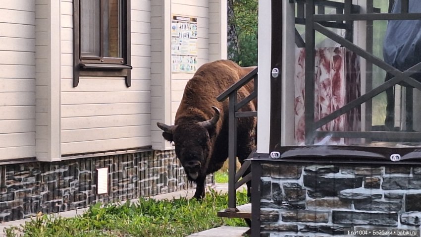 ИЗ ЖИЗНИ КУКОЛ Как они отдыхают Летний Архыз 3ч