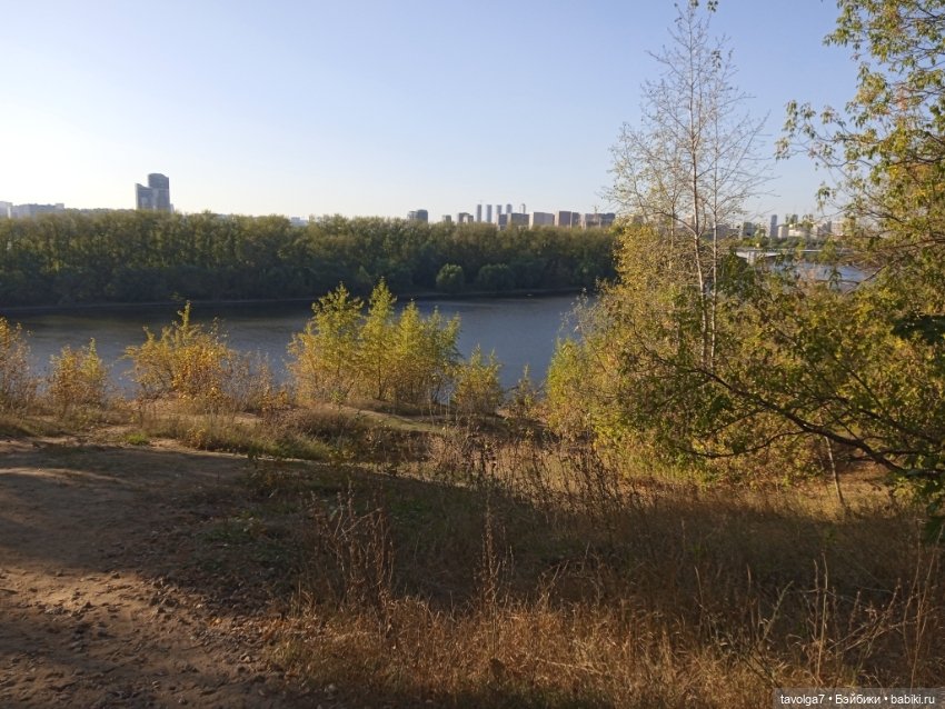 Серьги с офитом и осень — Другие хобби и увлечения: сад (фото 7)