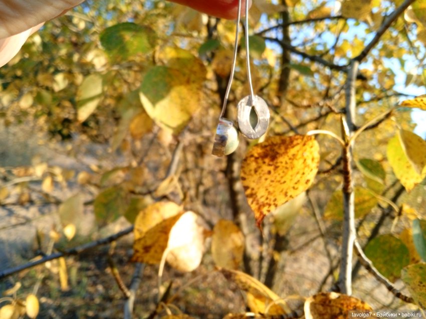 Серьги с офитом и осень — Другие хобби и увлечения: сад
