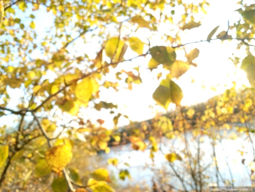 Серьги с офитом и осень — Другие хобби и увлечения: сад