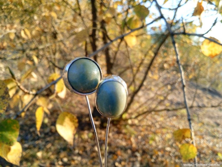 Серьги с офитом и осень — Другие хобби и увлечения: сад (фото 9)