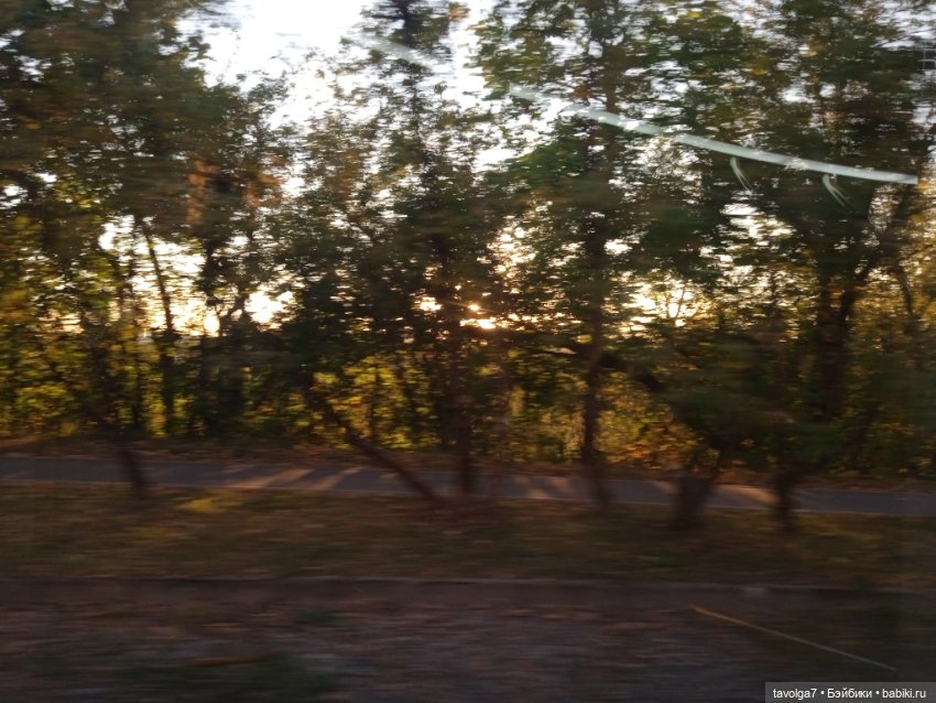 Серьги с офитом и осень — Другие хобби и увлечения: сад