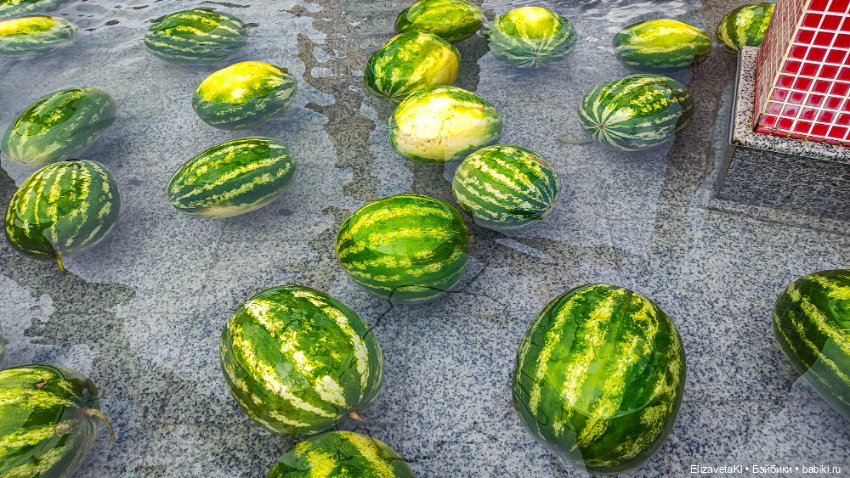 Делюсь красивыми местами — Туризм и путешествия: фотоотчеты из поездок (фото 5)