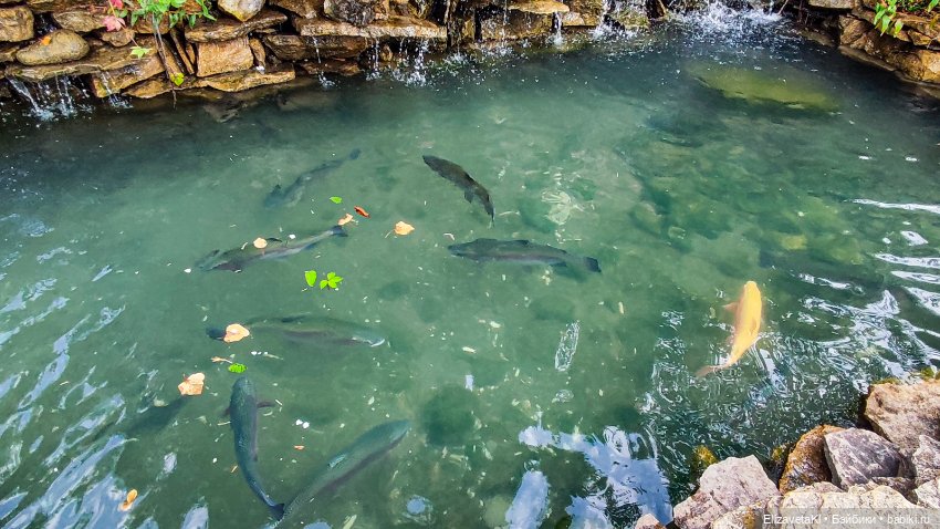 Делюсь красивыми местами — Туризм и путешествия: фотоотчеты из поездок