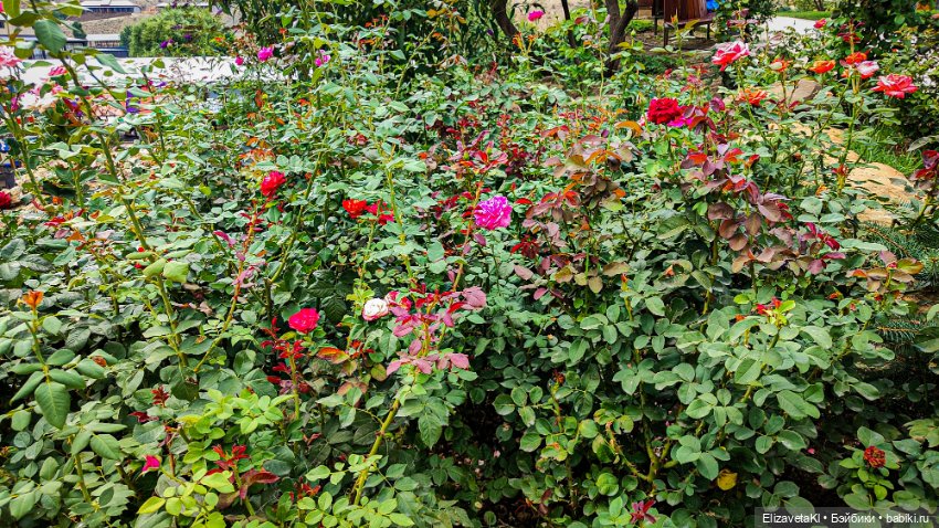 Делюсь красивыми местами — Туризм и путешествия: фотоотчеты из поездок