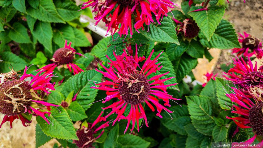 Делюсь красивыми местами — Туризм и путешествия: фотоотчеты из поездок