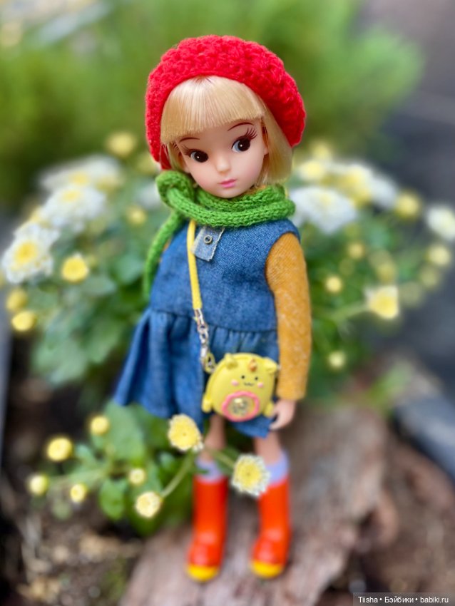 Репро Ликка (repro licca)