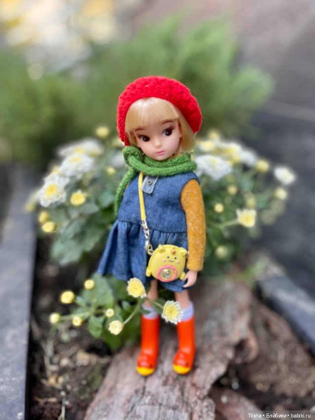 Репро Ликка (repro licca)