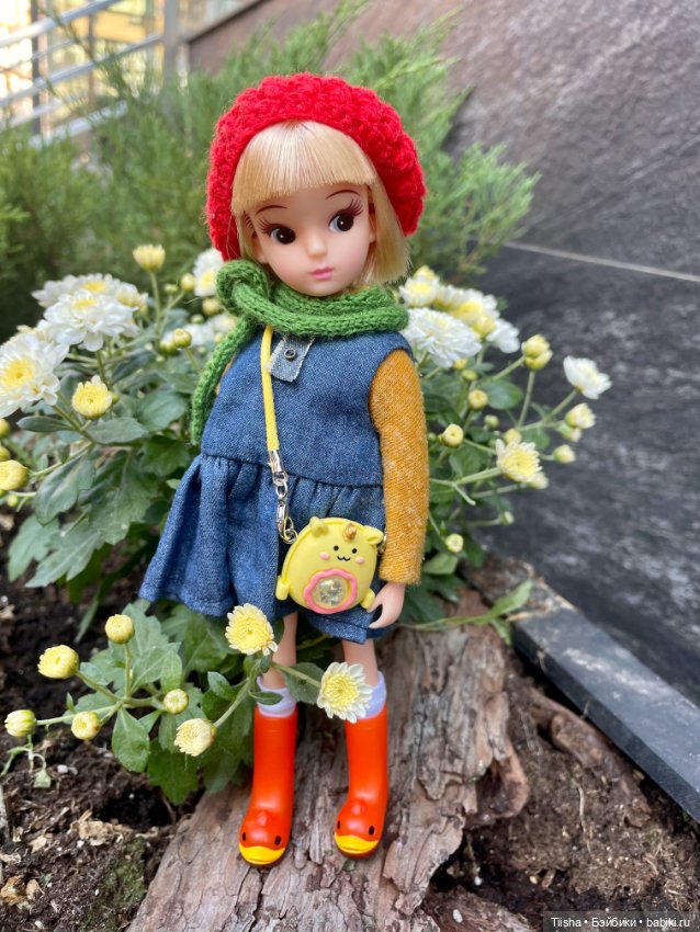 Репро Ликка (repro licca)