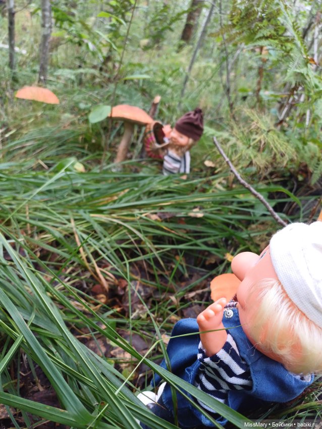 Веселые картинки. "Ай-ай-ай! Грибы!" (фото 5)