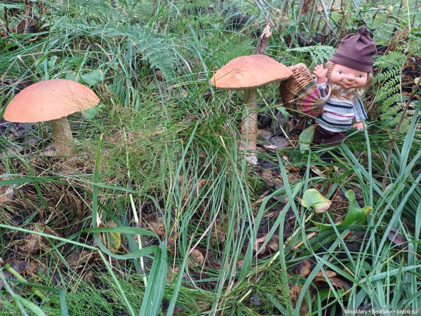Веселые картинки. "Ай-ай-ай! Грибы!" (фото 2)