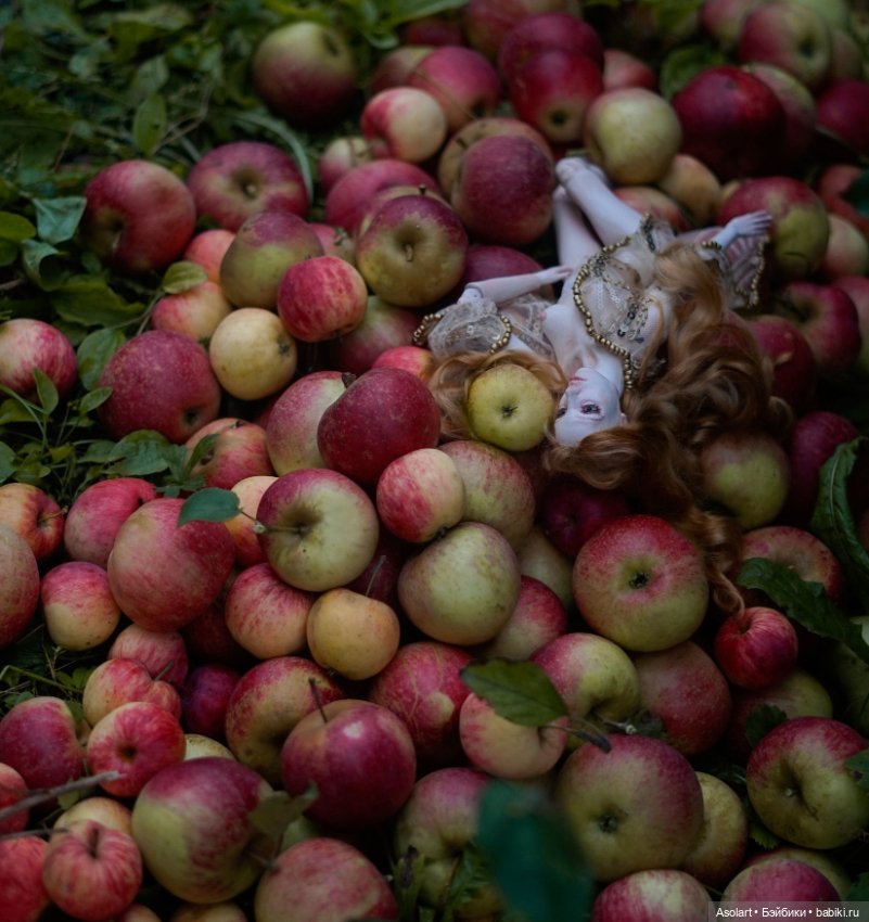 Каждую осень яблокопады в стихах и наяву (фото 3)