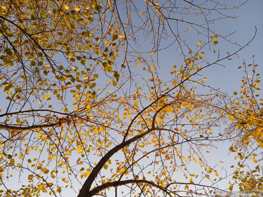 "Как я хочу провести осень" (фото 10)