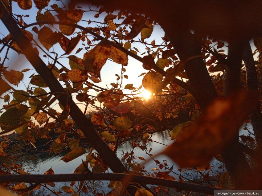 "Как я хочу провести осень"