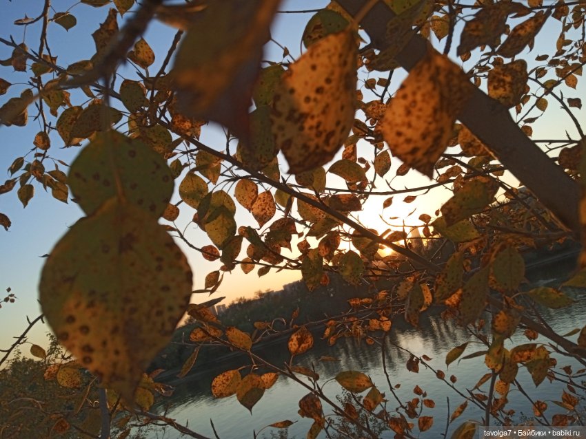 "Как я хочу провести осень"
