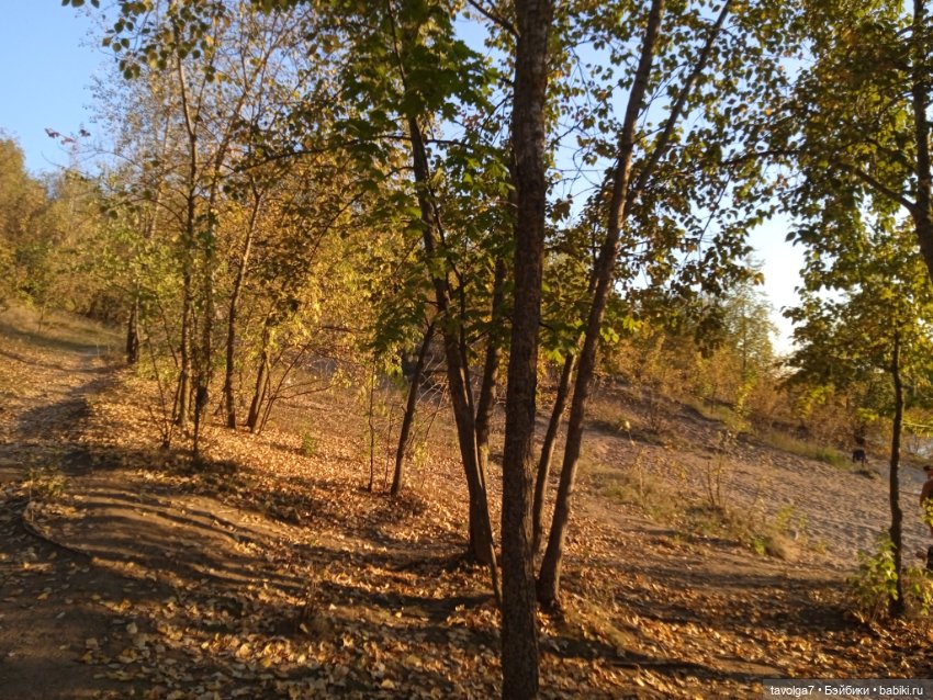 "Как я хочу провести осень" (фото 2)