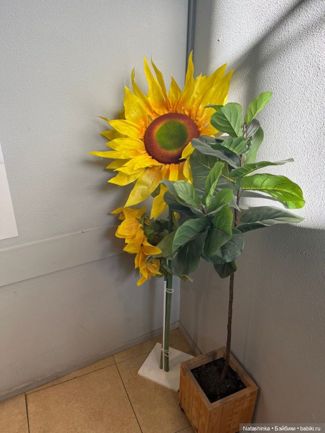 Музыкальная История 145 — Туризм и путешествия: фотоотчеты из поездок