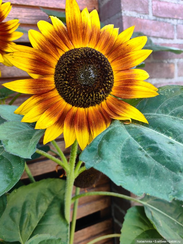 Музыкальная История 145 — Туризм и путешествия: фотоотчеты из поездок (фото 2)