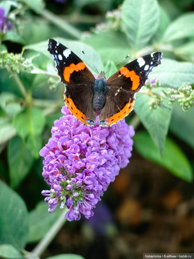 Музыкальная История 145 — Туризм и путешествия: фотоотчеты из поездок (фото 5)