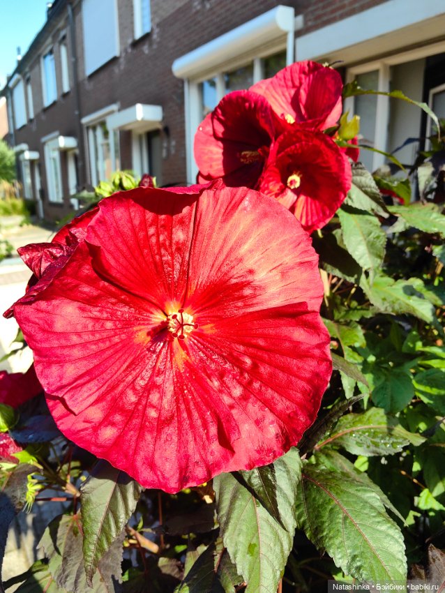 Музыкальная История 145 — Туризм и путешествия: фотоотчеты из поездок