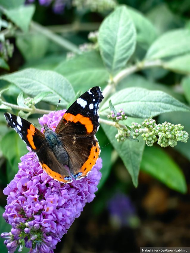 Музыкальная История 145 — Туризм и путешествия: фотоотчеты из поездок (фото 4)