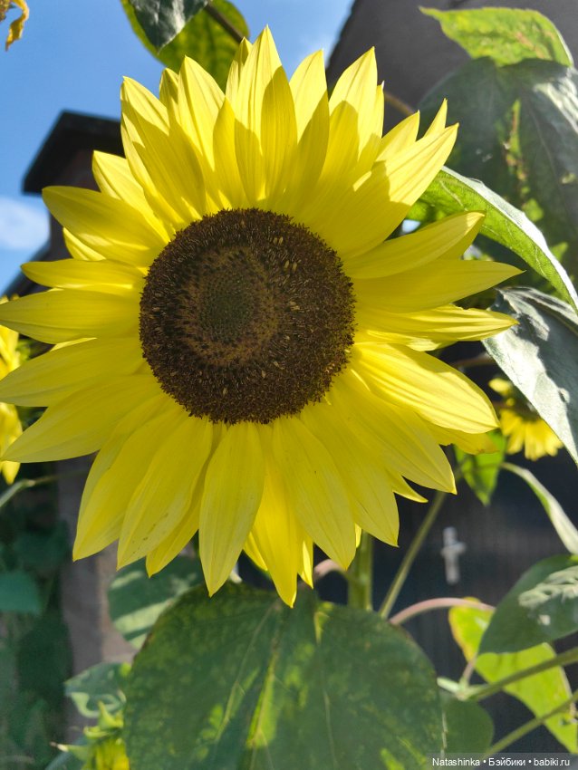 Музыкальная История 145 — Туризм и путешествия: фотоотчеты из поездок (фото 3)