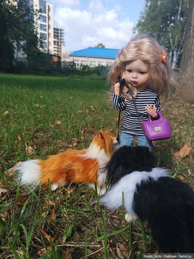 Альма и Фрида на прогулке (фото 9)