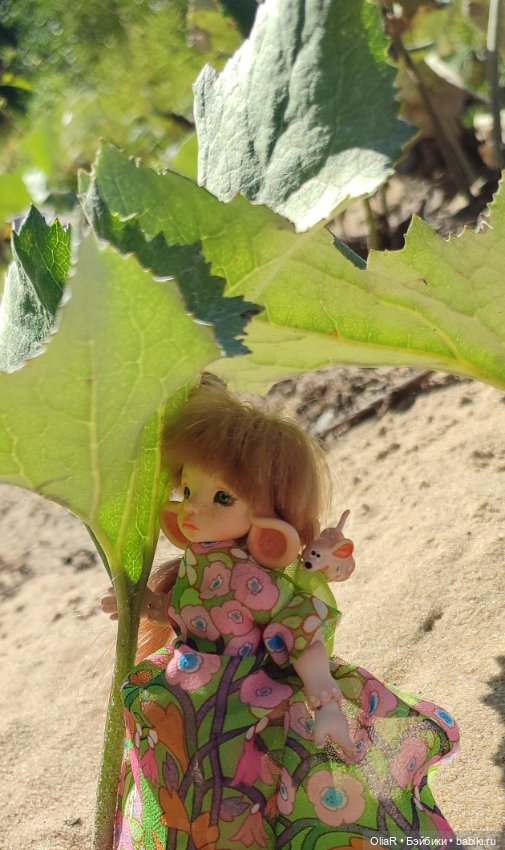 Холодная красавица Линда или как впитать побольше сентябрьского солнышка