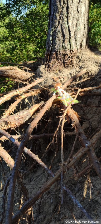 Холодная красавица Линда или как впитать побольше сентябрьского солнышка