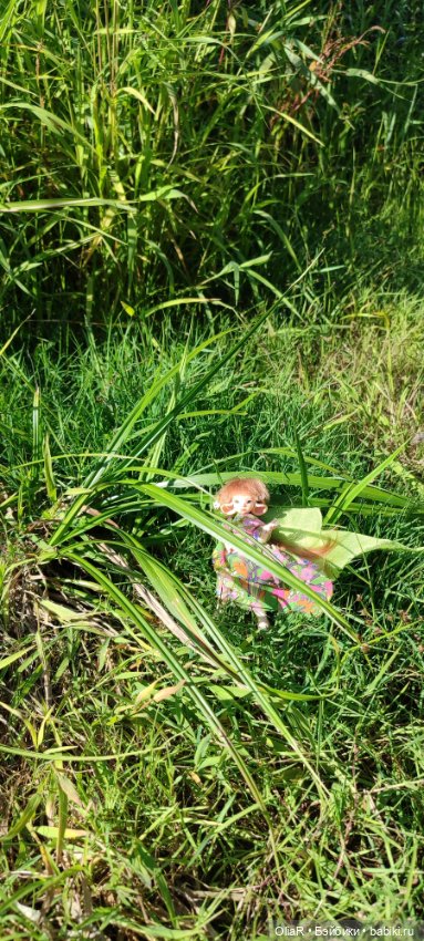 Холодная красавица Линда или как впитать побольше сентябрьского солнышка