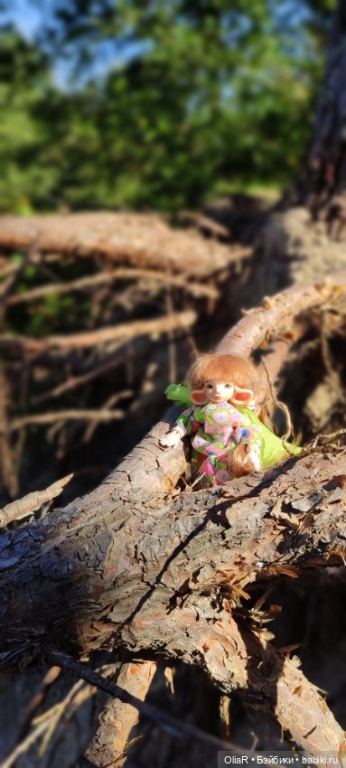 Холодная красавица Линда или как впитать побольше сентябрьского солнышка (фото 7)