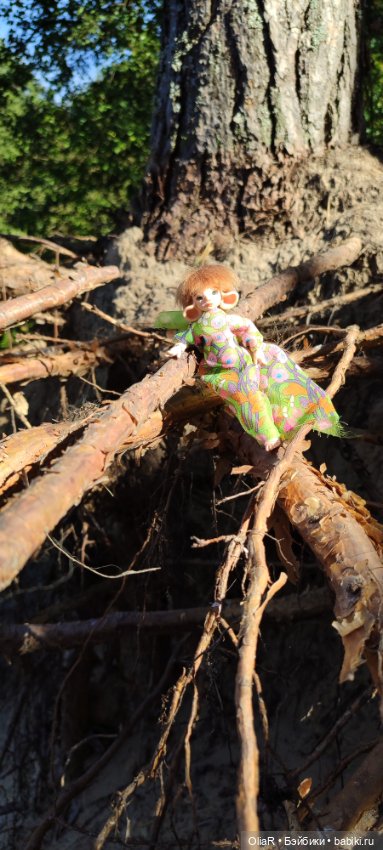 Холодная красавица Линда или как впитать побольше сентябрьского солнышка (фото 10)