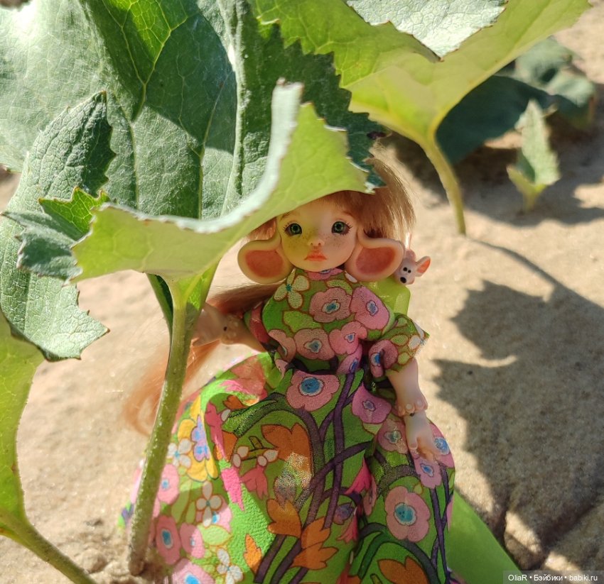 Холодная красавица Линда или как впитать побольше сентябрьского солнышка