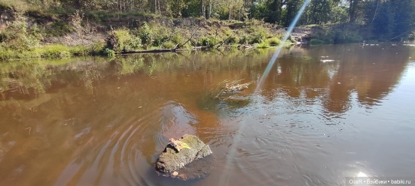 Холодная красавица Линда или как впитать побольше сентябрьского солнышка