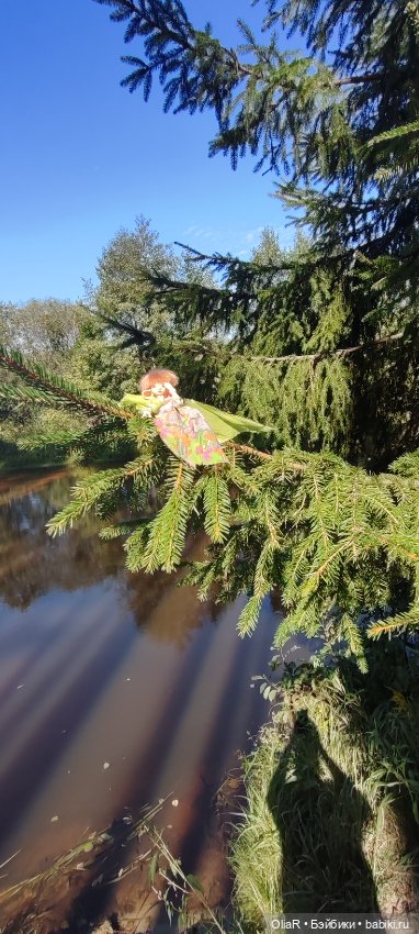 Холодная красавица Линда или как впитать побольше сентябрьского солнышка (фото 5)