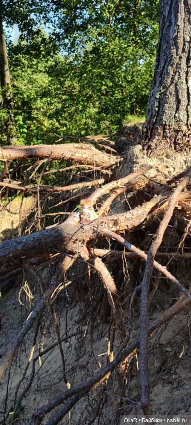 Холодная красавица Линда или как впитать побольше сентябрьского солнышка (фото 8)