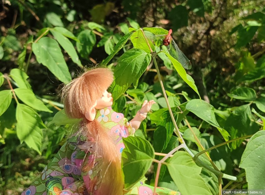 Холодная красавица Линда или как впитать побольше сентябрьского солнышка