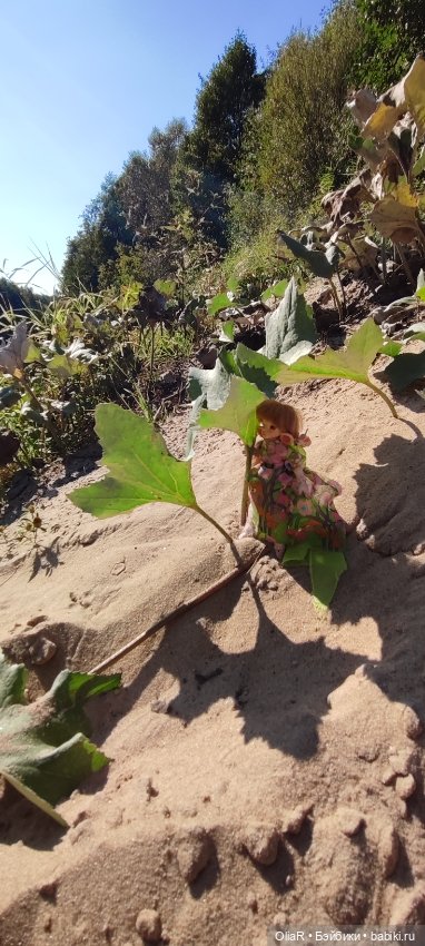 Холодная красавица Линда или как впитать побольше сентябрьского солнышка