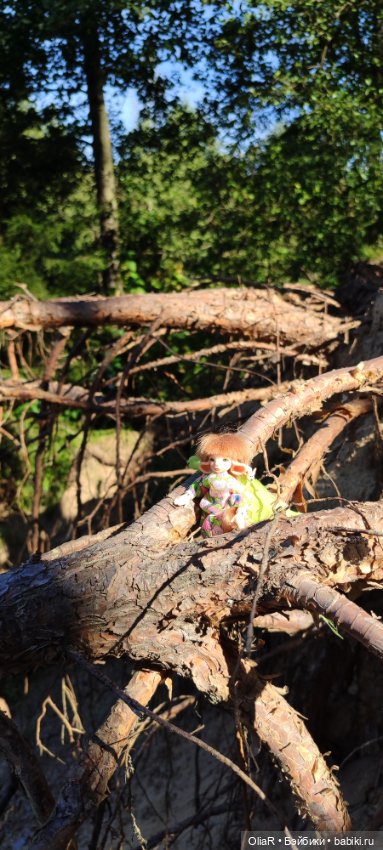 Холодная красавица Линда или как впитать побольше сентябрьского солнышка (фото 9)