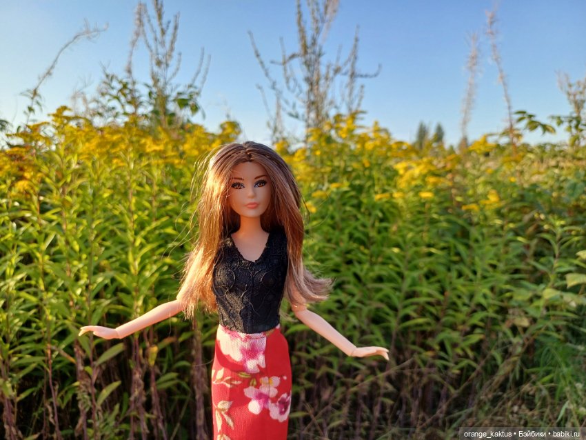 Новая жизнь Псевдокарлуши (фото 9)