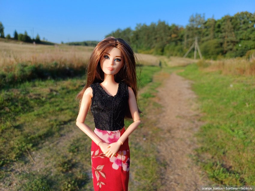 Новая жизнь Псевдокарлуши (фото 4)