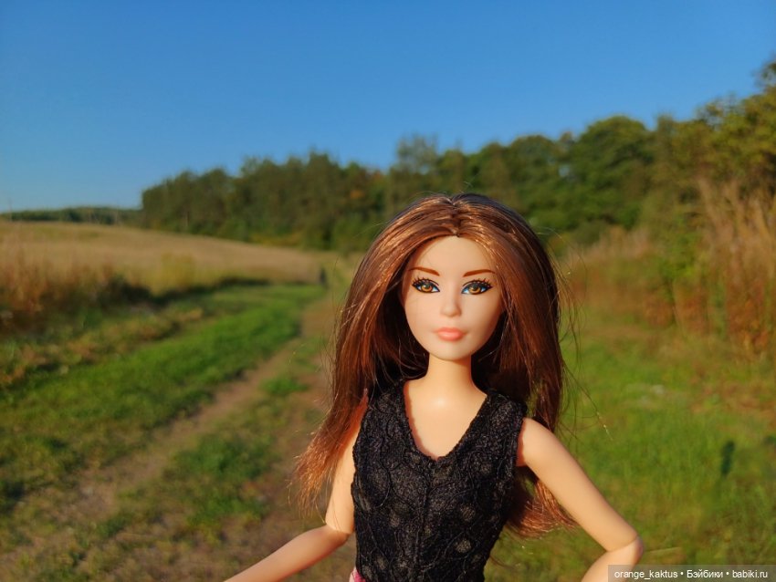 Новая жизнь Псевдокарлуши (фото 8)