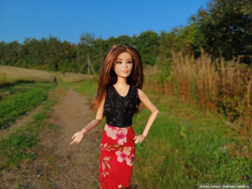 Новая жизнь Псевдокарлуши (фото 6)