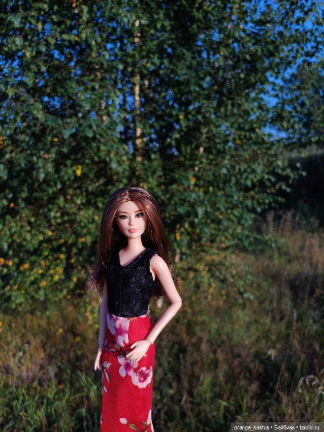 Новая жизнь Псевдокарлуши (фото 2)