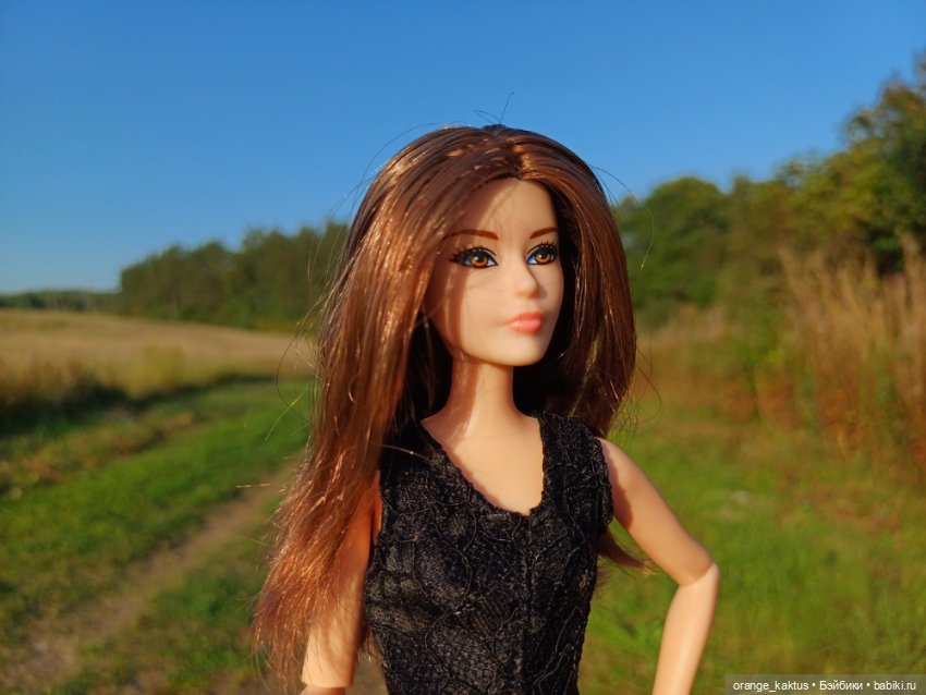 Новая жизнь Псевдокарлуши (фото 7)