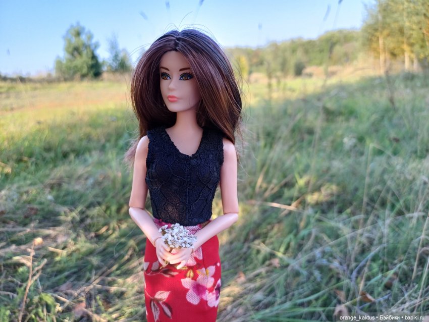 Новая жизнь Псевдокарлуши