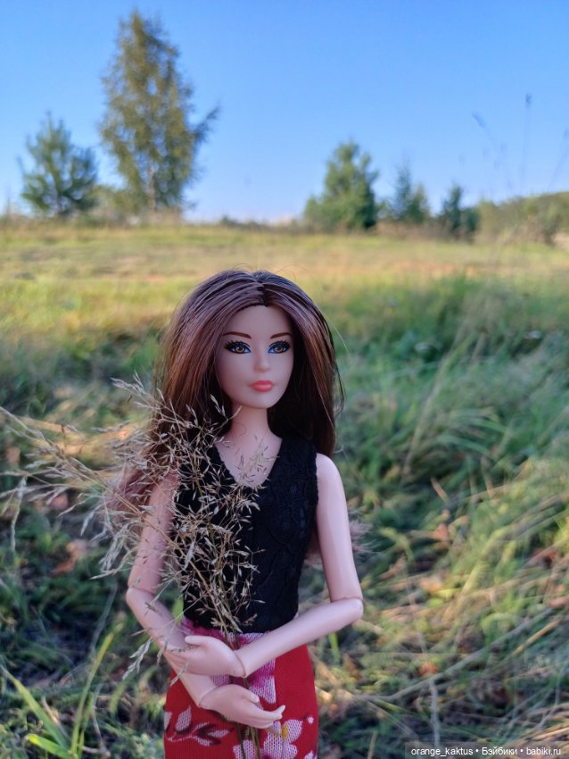 Новая жизнь Псевдокарлуши (фото 10)