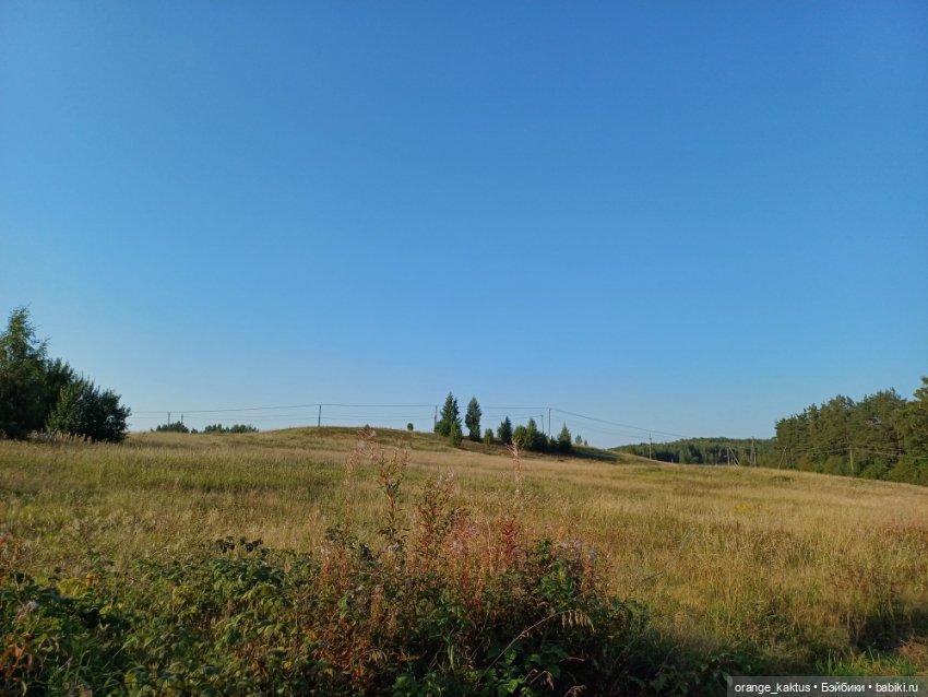 Новая жизнь Псевдокарлуши (фото 3)