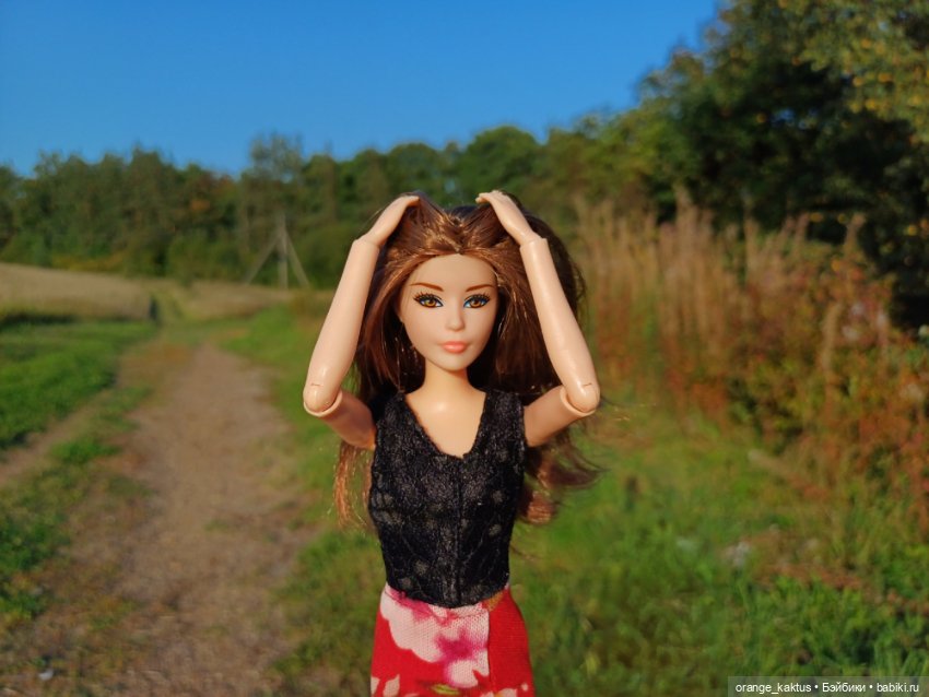 Новая жизнь Псевдокарлуши (фото 5)