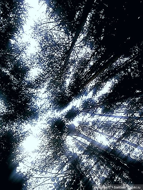 Про Нафочку. В страшном месте - Заброшка семи гробов